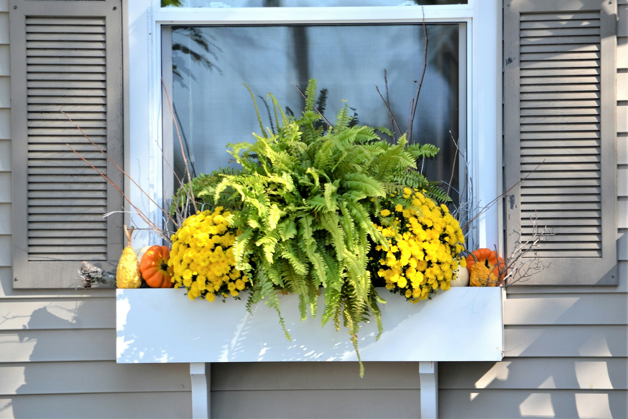 Home exterior Fall decoration window box